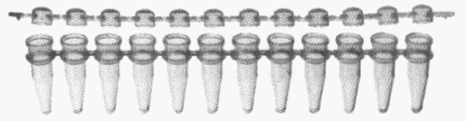 0.2ml 12連排PCR反應管(附蓋)