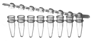 8連排連蓋PCR反應管